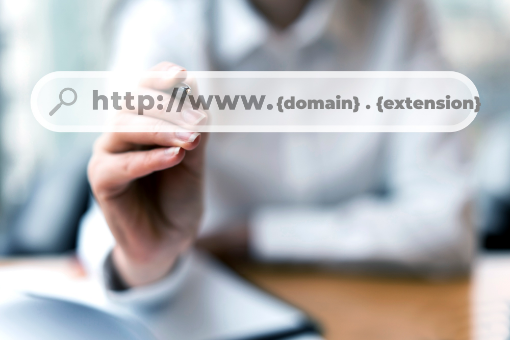 domain name structure

